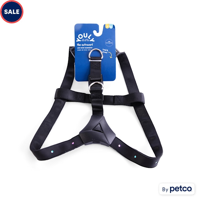 Chest led shop dog harness