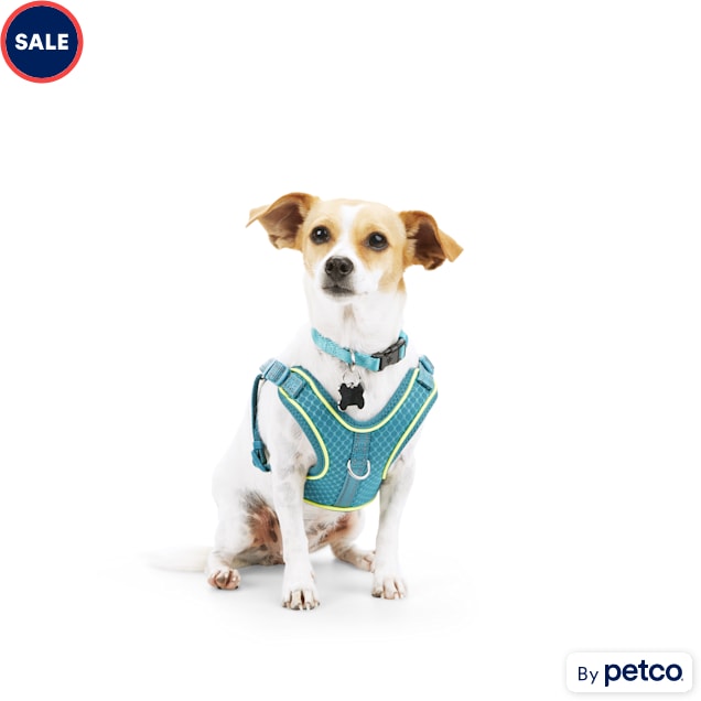 EveryYay Embrace the Pace Teal Reflective Small Dog Harness, XX-Small/X-Small - Carousel image #1