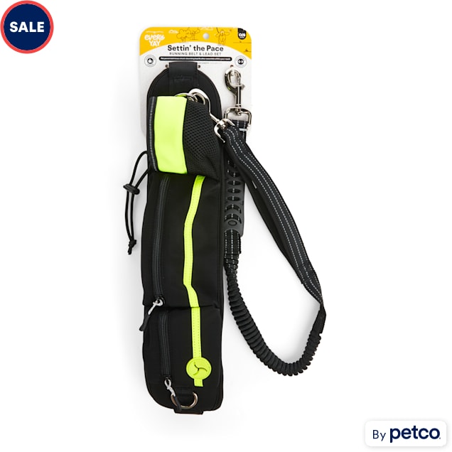 EveryYay Settin' the Pace Yellow Running Belt & Leash Set for Dogs - Carousel image #1