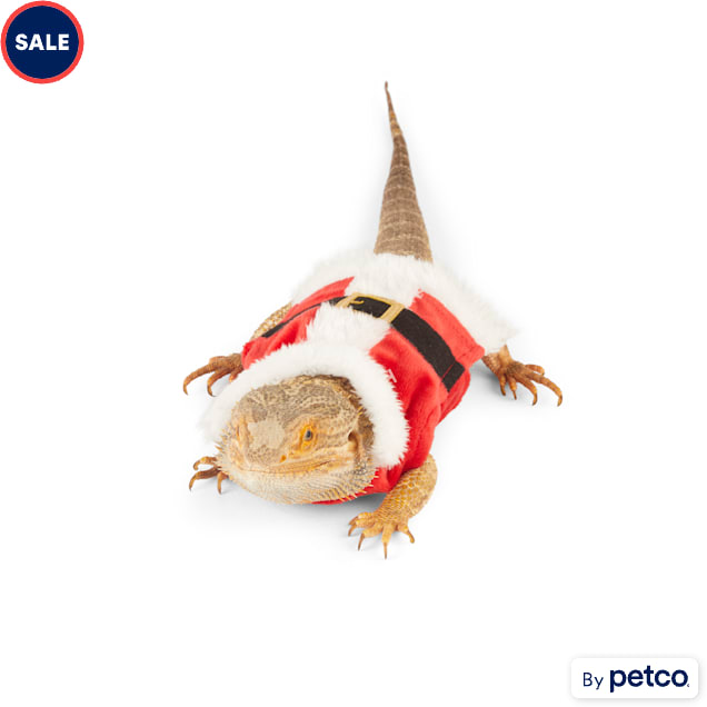 Merry Makings Santa Costume for Bearded Dragons X Small Petco