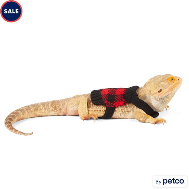 Merry Makings Buffalo Check Sweater for Bearded Dragons Petco
