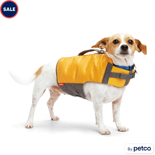 Dog bathing suits petco clearance
