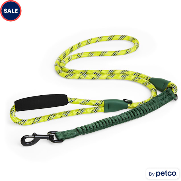 6 foot dog lead store