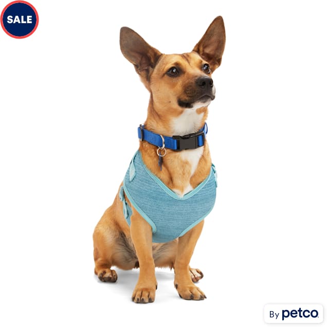 Dog harness for sale near deals me