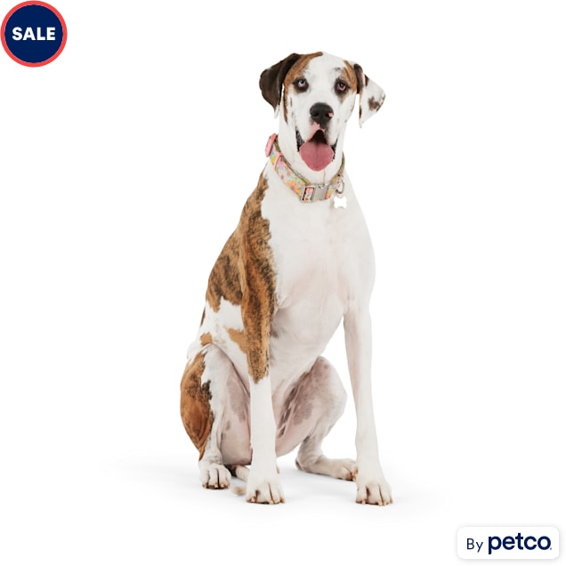 YOULY Pink Daisy Big Dog Collar, XXLarge/3XLarge Petco