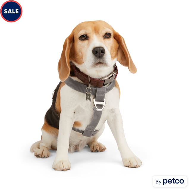 Petco good to go harness clearance
