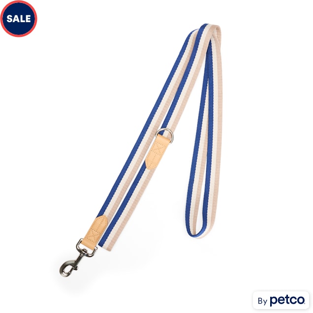 Show dog leads for sale hot sale