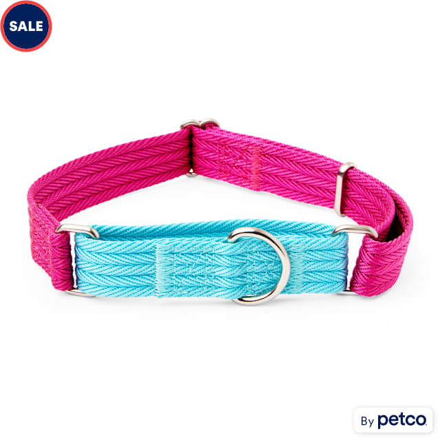 EveryYay Teal Colorblock Martingale Dog Collar Small