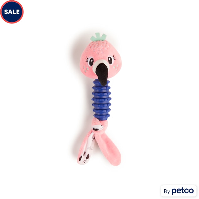 Petco chew toys 2025