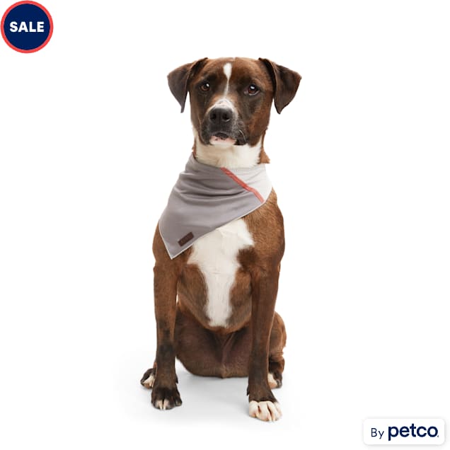 Grey dog bandana cheap
