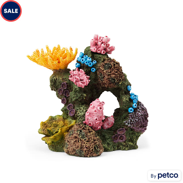 Petco fish tank decorations store