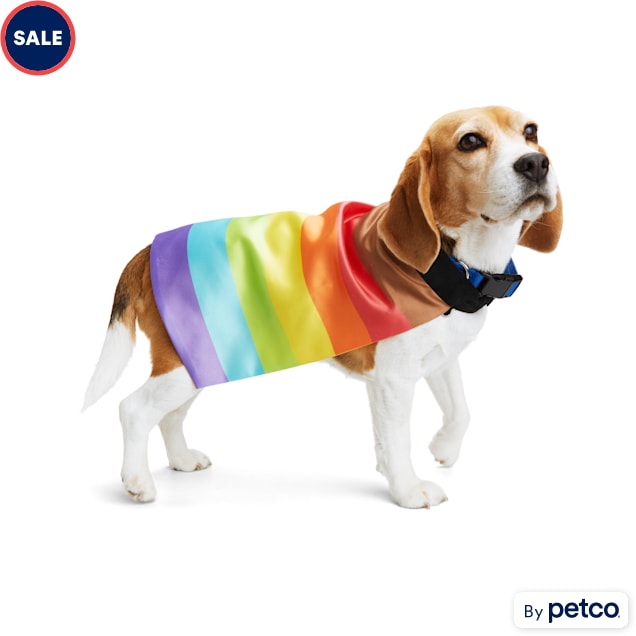 YOULY Pride Rainbow Pet Cape, Large/XLarge Petco