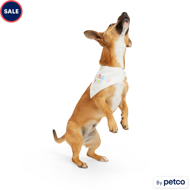 Petco dog birthday online