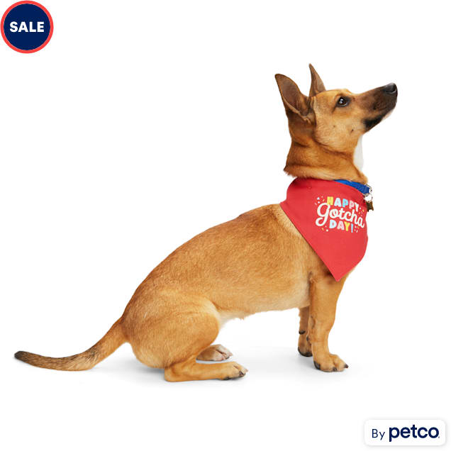 Petco dog bandanas online
