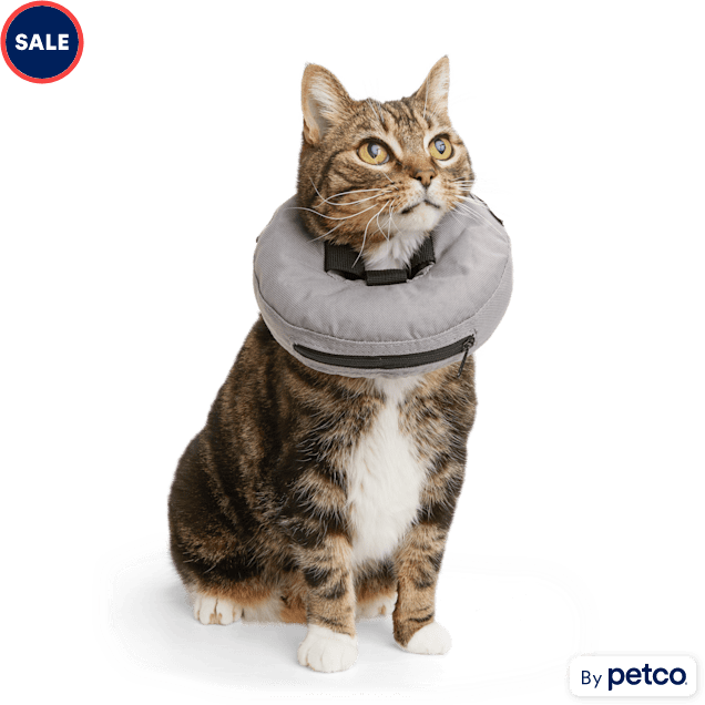 Petco inflatable dog collar Clearance