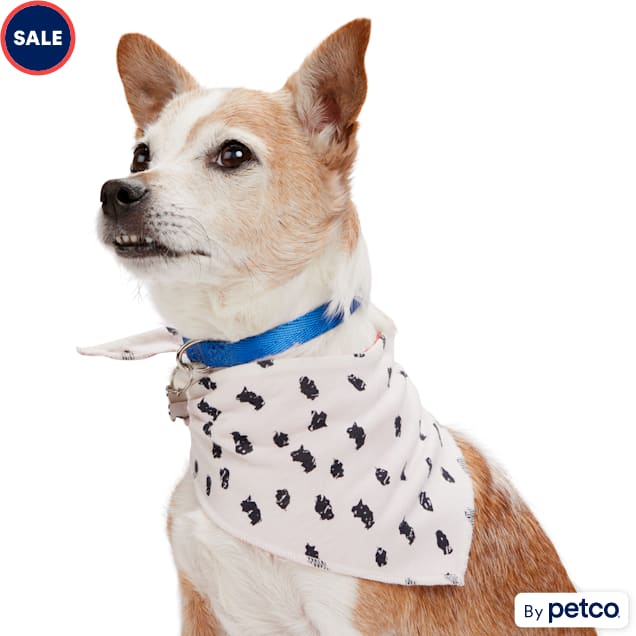 YOULY Spotted Reversible Dog Bandana Small Medium