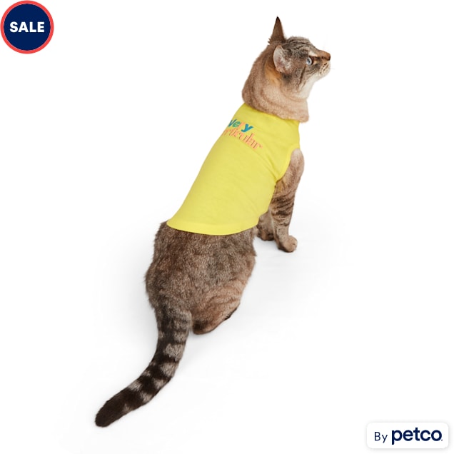 shirt cat collar