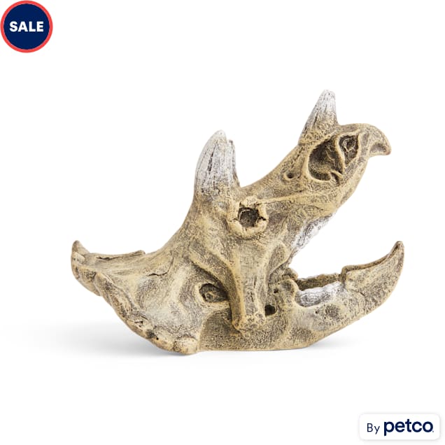 Imagitarium Triceratop Skull, Small - Carousel image #1