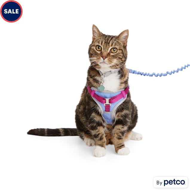 Cat Harness Leash Collar : Page 16 : Target