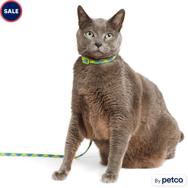 Premier Pet Cat Harness & Leash - Best for Cats 5 - 12 lb - Adjustable