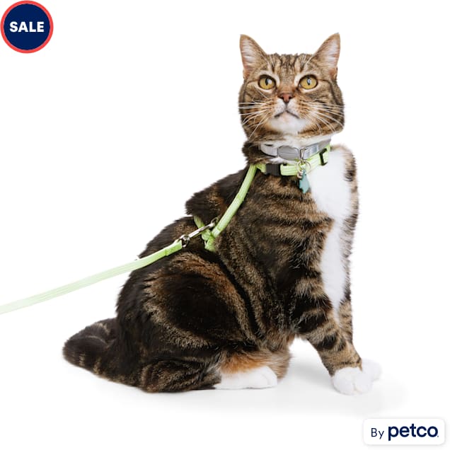 YOULY Green Cat Harness & Lead