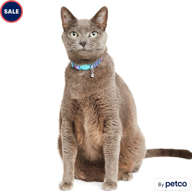 YOULY Iridescent Cat Collar Petco