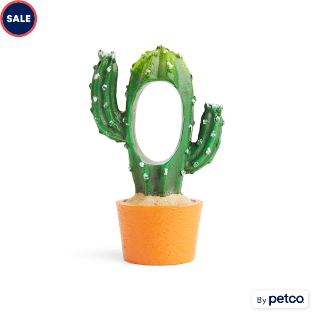 Petco cactus cat bed sales