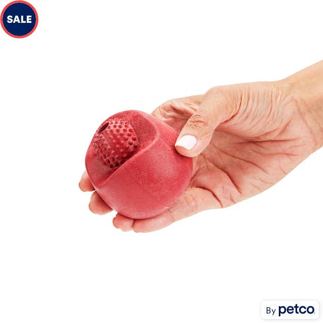 Egg best sale dog toy