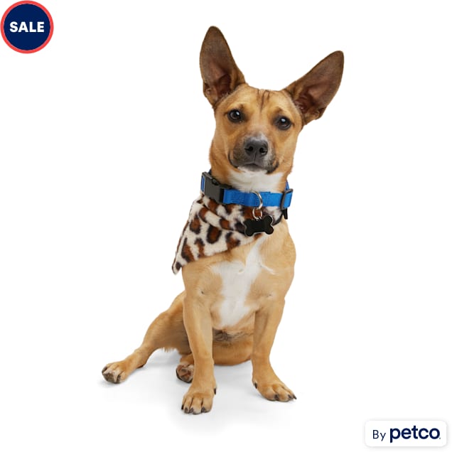 Petco dog bandana outlet