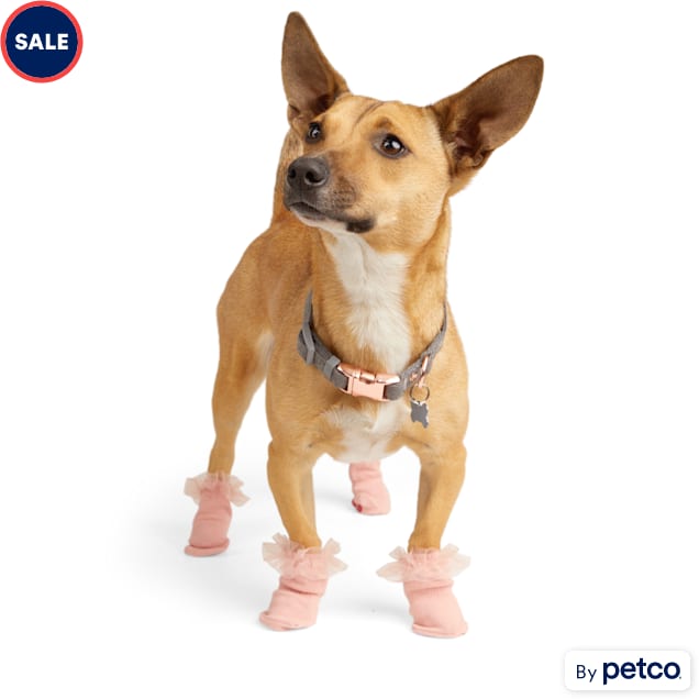 Extra small dog socks top