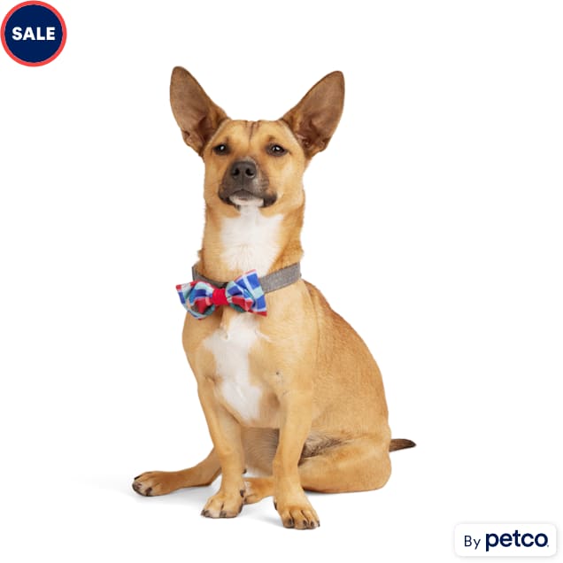 YOULY Bowtie 2 pack for Dogs Petco