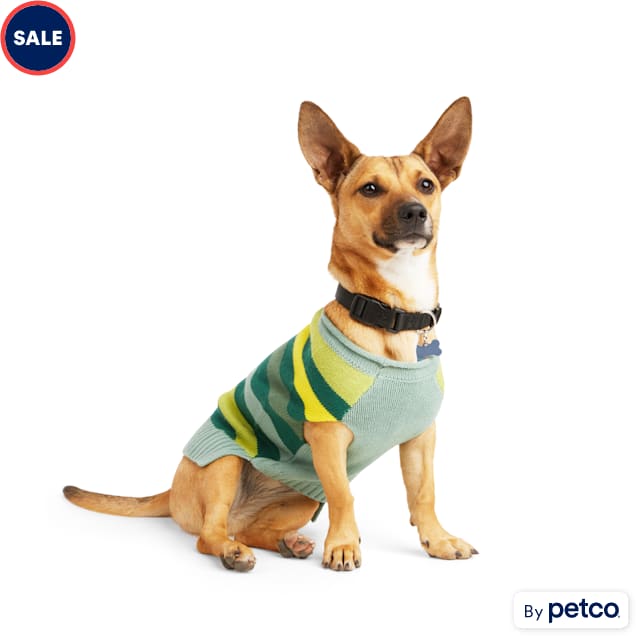 Petco small dog deals sweaters