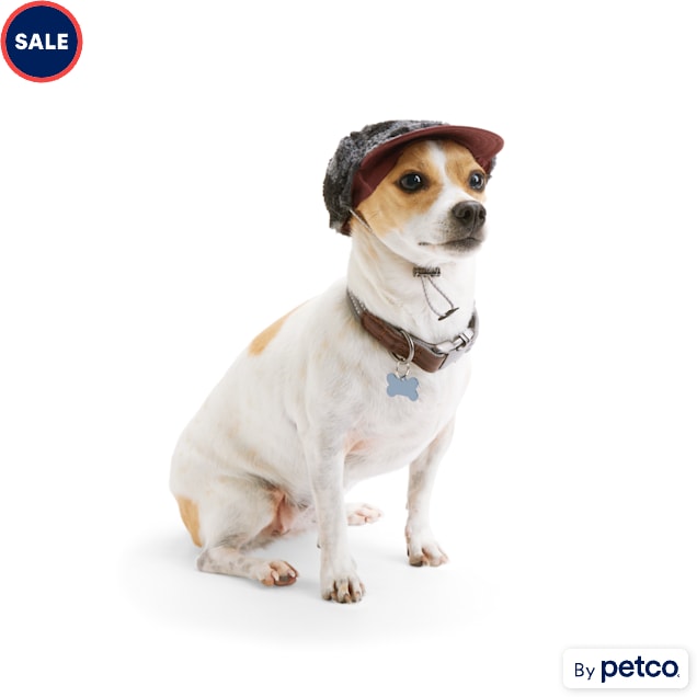 Dog hats deals for sale