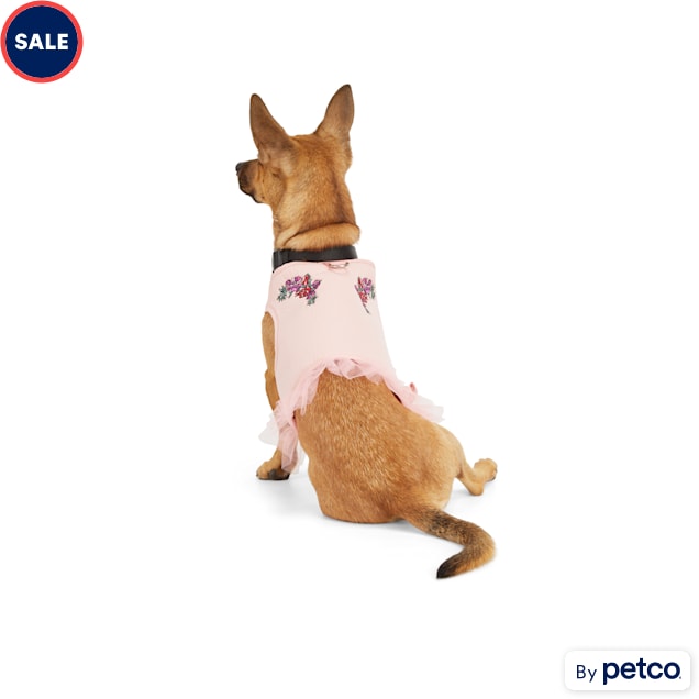 Chihuahua store muzzle petco