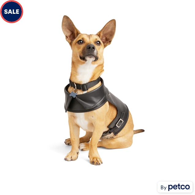 Dog harness for sale near me store