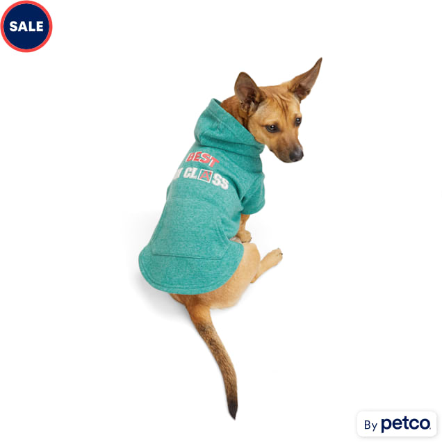 Petco dog cheap apparel