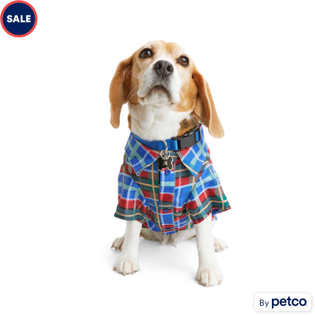 Petco dog clothes clearance 2025