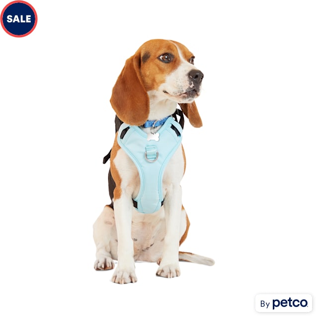 EveryYay Teal Crash Test Dog Harness, Small Petco