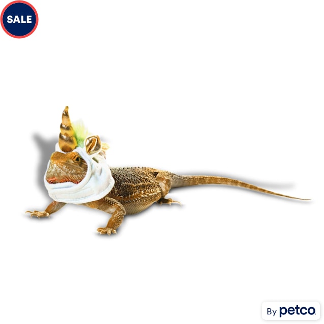 Bearded dragon leash petco sale