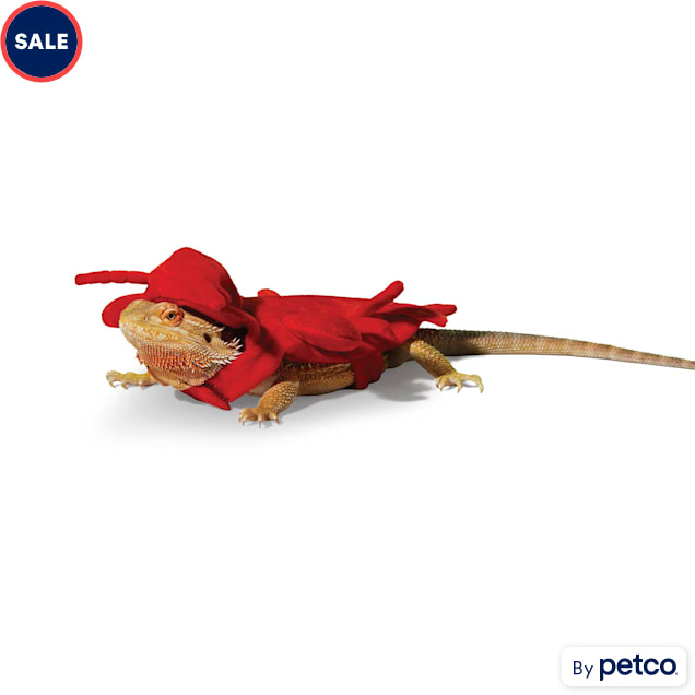 Lizard costume on sale