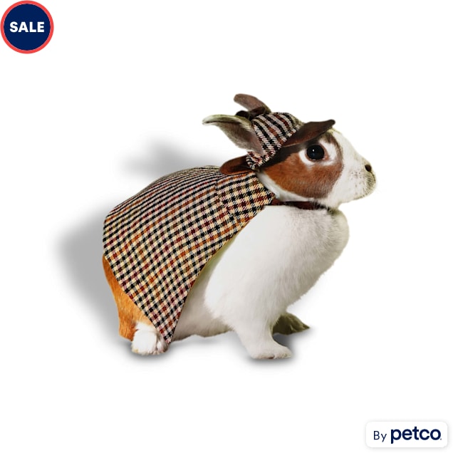 Petco bunny for sale hot sale