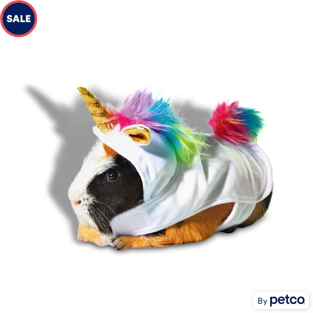 Guinea pig halloween costumes petco hotsell