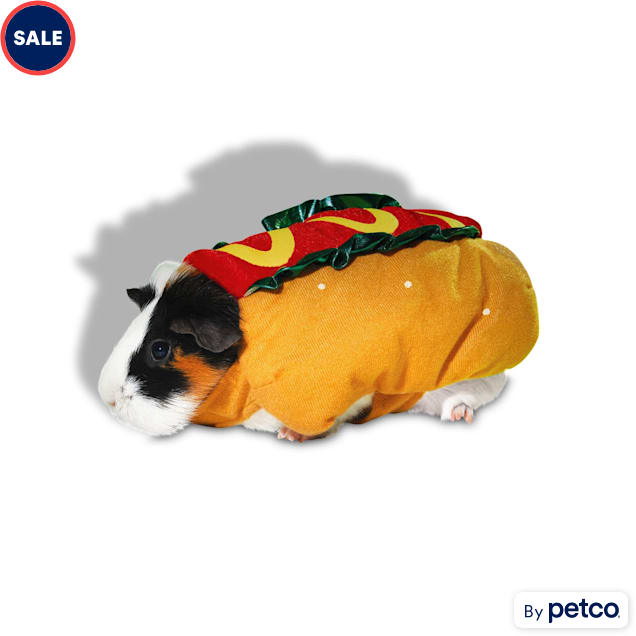 Guinea pig costumes petco store