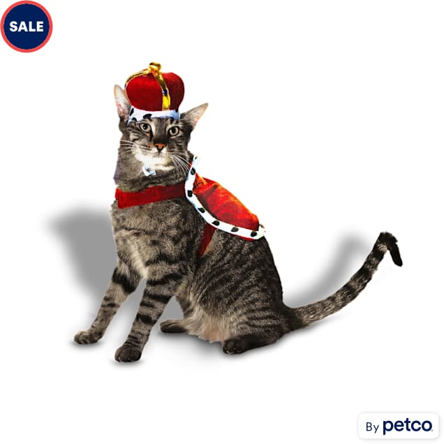 Petco sell cats shop