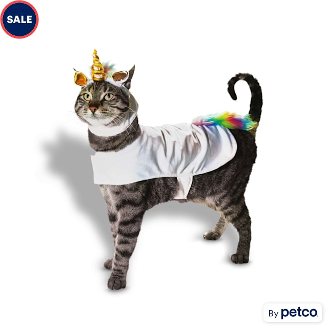 Costume for kitten outlet
