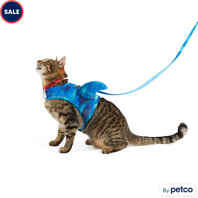 Cat harness and leash petco on sale