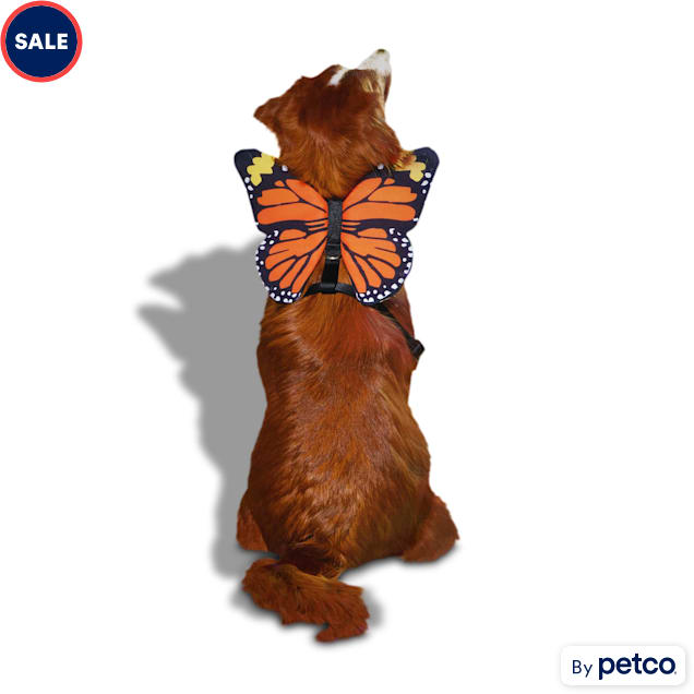Bootique Butterfly Dog Harness Costume X Small Petco