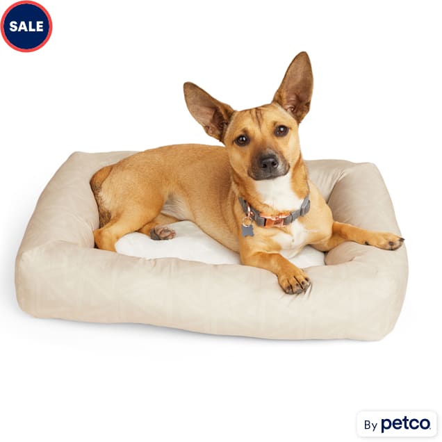 EveryYay Essentials Snooze Fest Bolster Mat Dog Bed, 24" L X 18" W X 4