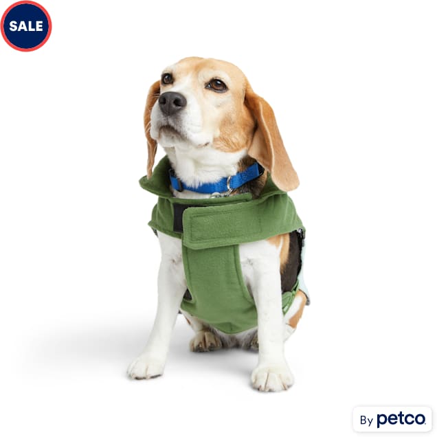 Service dog in training vest petco deals