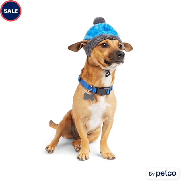 Dog hats clearance petco